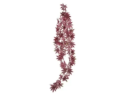 PLANTA ORNAMENTAL COLGAR MOD RED